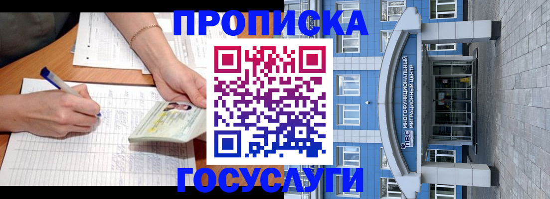 регистрация в Новосибирской области